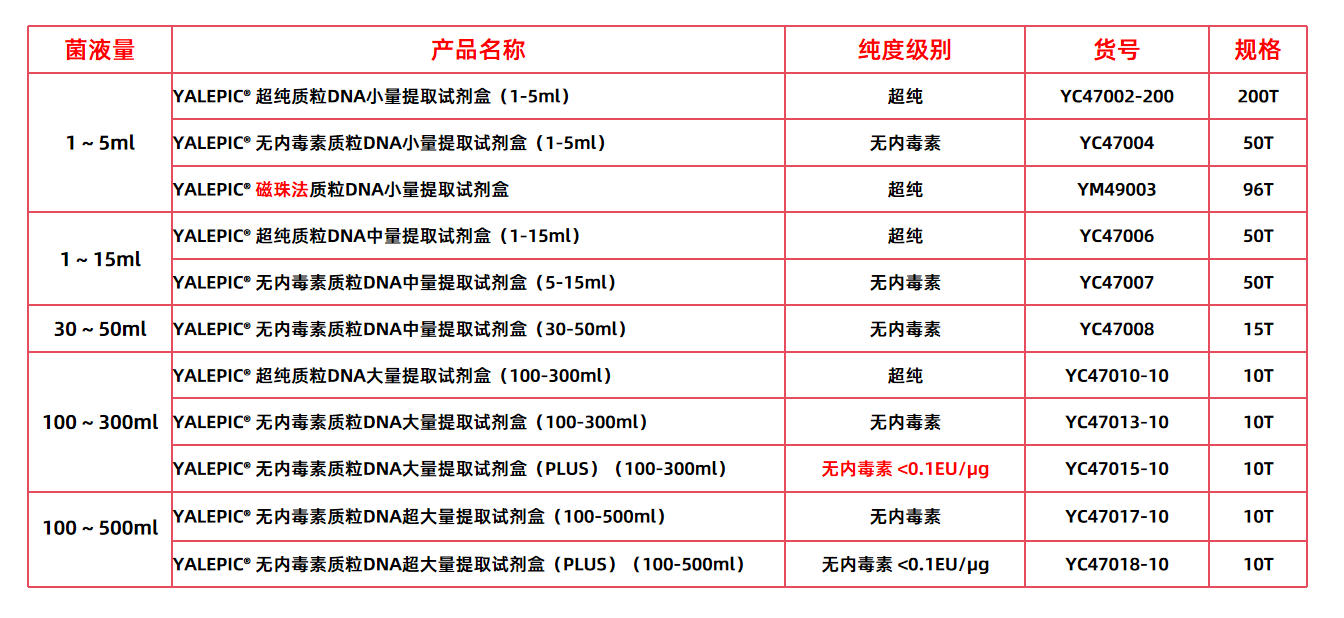雅礼生物 质粒DNA提取选购指南